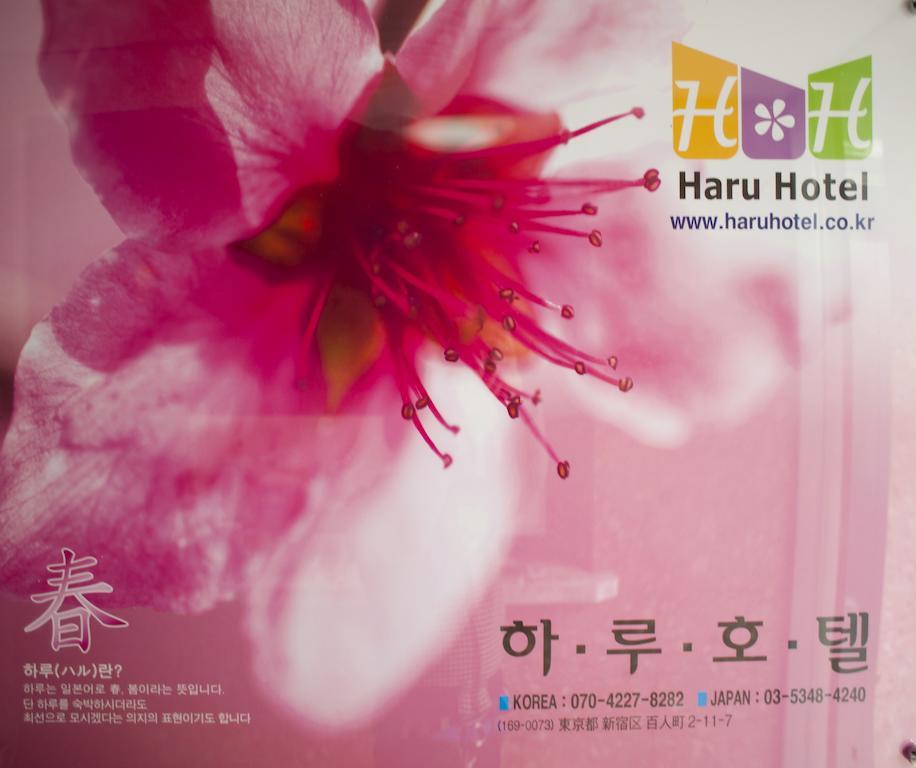 Haru Tokio